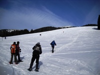Folgaria - monte Cornetto