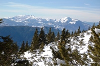 Folgaria - monte Cornetto