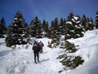 Folgaria - monte Cornetto