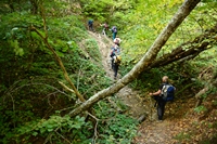 Da Marradi all'Eremo di Gamogna