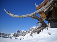 Ciaspolata al passo Giau