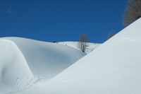 Ciaspolata al passo Giau