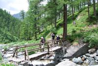 Gressoney