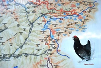 Laghi Gemelli