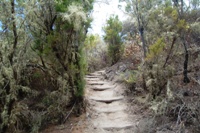 La Palma - La Gomera (Canarie)