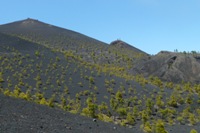 La Palma - La Gomera (Canarie)