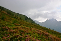 passo Cagnon  gruppo del Lagorai