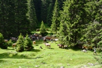 passo Cagnon  gruppo del Lagorai