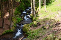 passo Cagnon  gruppo del Lagorai