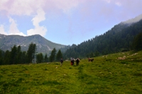 passo Cagnon  gruppo del Lagorai