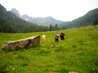 passo Cagnon  gruppo del Lagorai