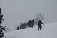 Da Casulie al monte Lancino-la ritirata