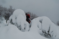 Da Casulie al monte Lancino-folletti