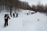 Da Casulie al monte Lancino