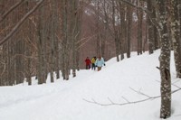 Da Casulie al monte Lancino