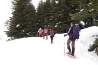 Da Casulie al monte Lancino