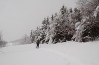 Da Casulie al monte Lancino