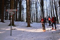 Ciaspolata al monte 