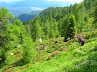 Monte Luco - Catena delle Maddalene