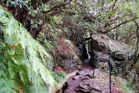 Isola di Madeira - Portogallo