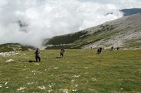 Maiella