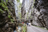 Gruppo Marmolada rif. Falier