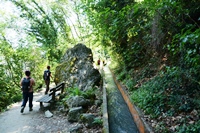 Merano - I Giardini di Castel Trauttmansdorff