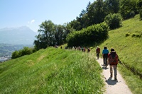 Merano - I Giardini di Castel Trauttmansdorff