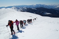 Monte Fravort - Valle dei Mocheni