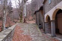 Monteacuto dell'Alpi - Madonna del Faggio