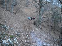 Monte Novegno