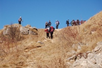 Monte Novegno