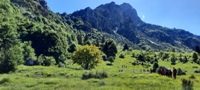 Piccole dolomiti - Cima Ofre