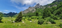 Piccole dolomiti - Cima Ofre