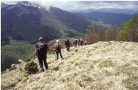 Monte Pizzo - Monte Grande