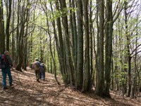 Monte Pizzo - Monte Grande