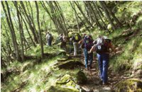 Monte Pizzo - Monte Grande