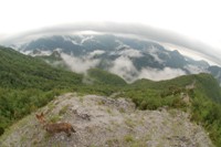 Parco Nazionale del Pollino
