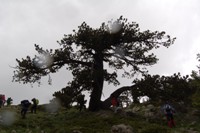 Parco Nazionale del Pollino