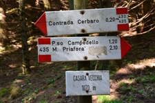 Monte Priafor - gruppo del Novegno
