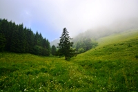 Monte Priafor - gruppo del Novegno
