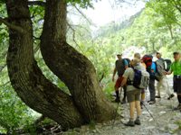 Alpi marettime rif. Valasco e Questa