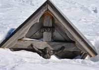 Dos Negro-Monte Ron (alta Val di Non )