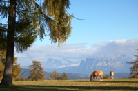 Altopiano del Salto