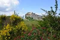Rocca di San Leo e Maioletto