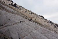 Giro del Sassopiatto e Sassolungo