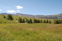 Alpe di Siusi