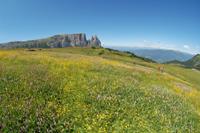 Alpe di Siusi