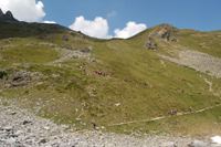 Solda - Parco Nazionale dello Stelvio