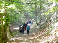 Monte Soprasasso